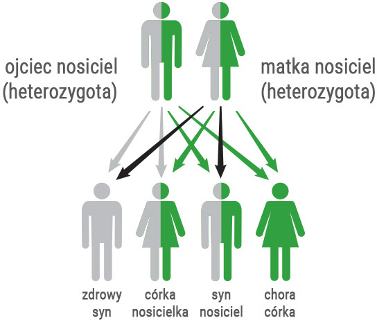 hemochromatoza dziedziczenie 