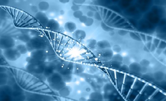 Genetyczne.pl patronem medialnym konferencji nutrigenomicznej