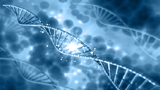 Genetyczne.pl patronem medialnym konferencji nutrigenomicznej 