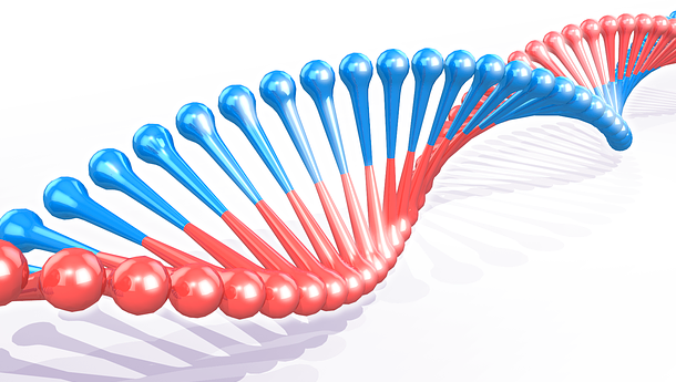 badania dna