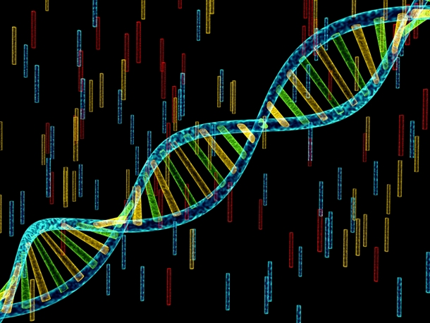 międzynarodowy dzień dna