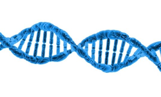 badania genetyczne płodu