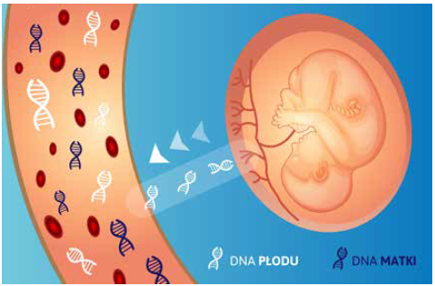 test nipt - wolne płodowe dna