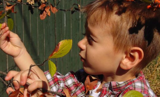 Genetyczne badanie na padaczkę