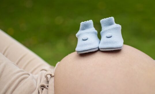 test panorama, test panorama cena, test panorama opinie