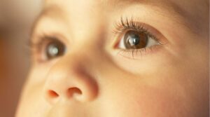 Dziedziczenie koloru oczu - genetyka