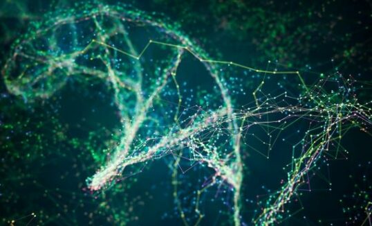 Epigenetyka Epigenetyka