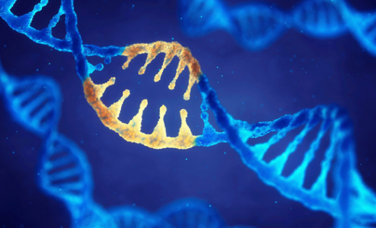 badanie wes warszawa badanie wes warszawa