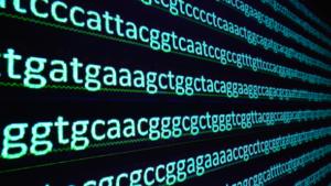 badanie wes warszawa test wes warszawa