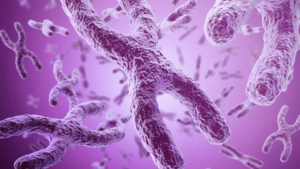 test wes warszawa badanie wes warszawa