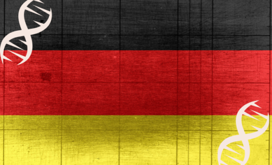 niemcy badanie wes niemcy badanie wes