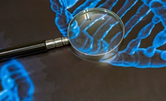 choroby genetyczne jednogenowe choroby genetyczne jednogenowe